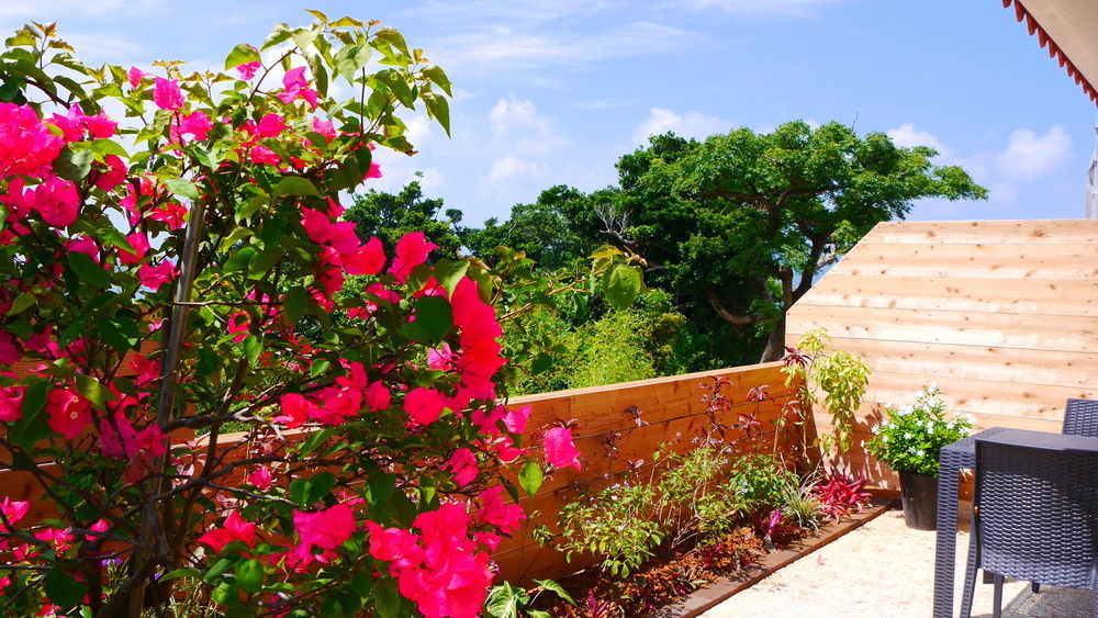 Hotel Ocean Hills Kouri Nakijin Exterior foto